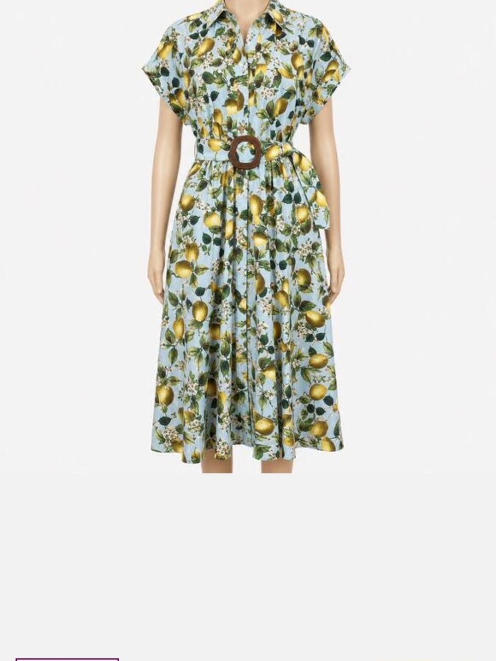 NWT Zara Lemon Print Shirt Dress with Belt - Blue/Yellow Size Small